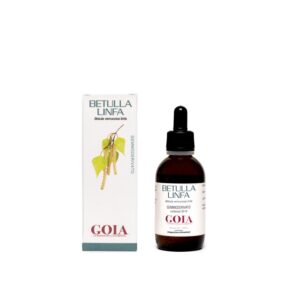 BETULLA LINFA GOIA