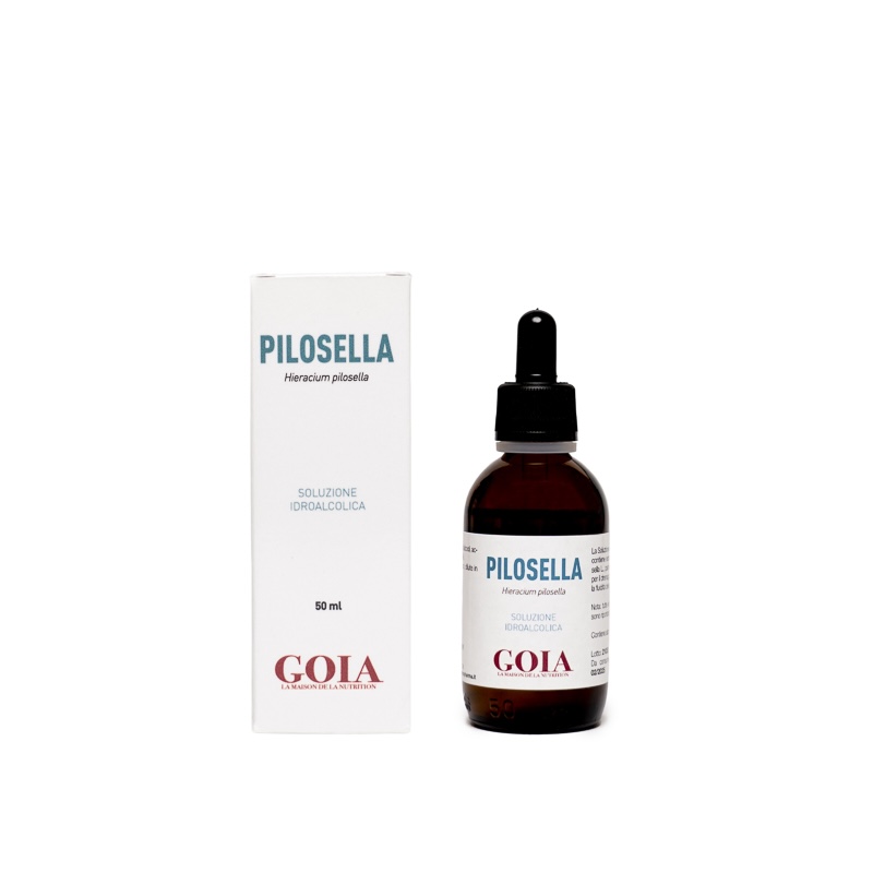 PILOSELLA GOIA